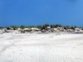 fire_island